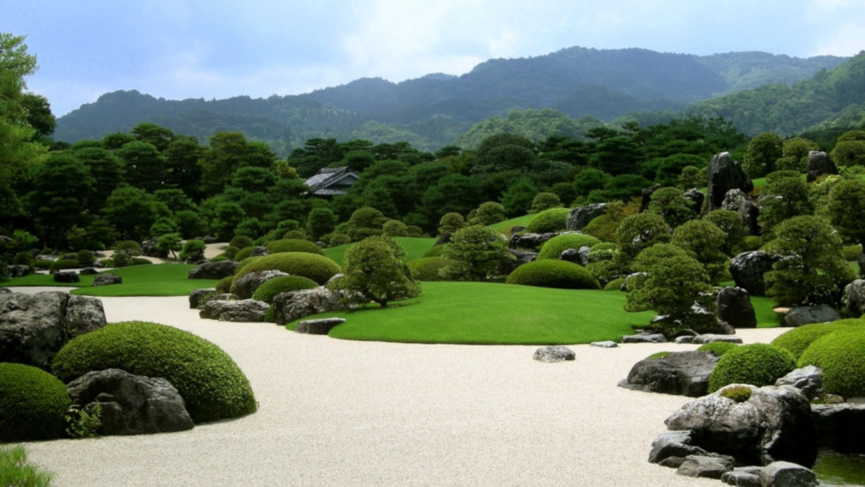 Bonsai Suiseki Magazine libri e risorse gratuite per chi si avvicina ai bonsai e dei suiseki