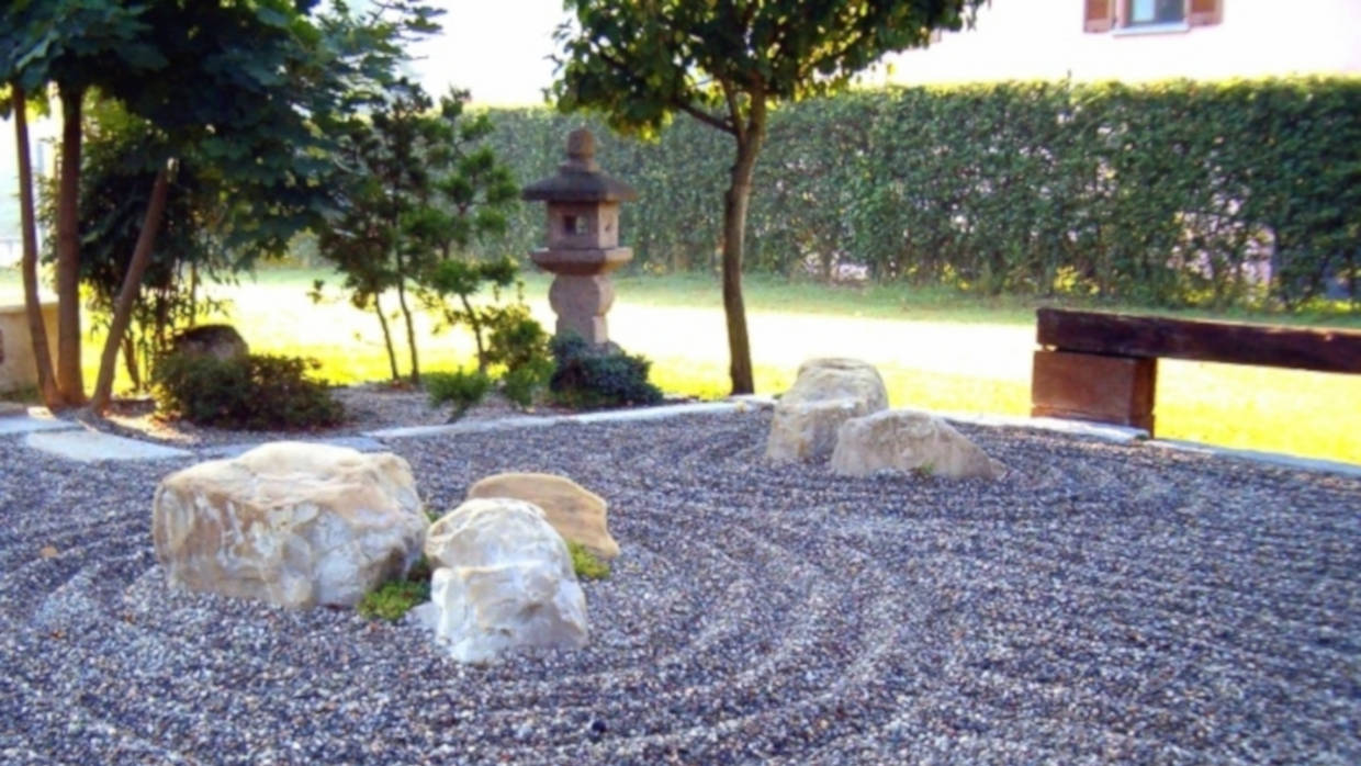 Bonsai Suiseki Magazine libri e risorse gratuite per chi si avvicina ai bonsai e dei suiseki