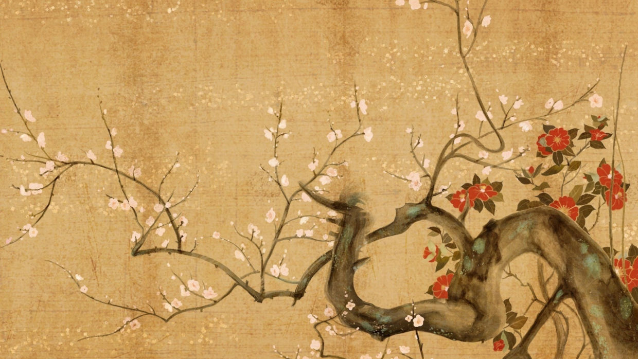 Bonsai Suiseki Magazine libri e risorse gratuite per chi si avvicina ai bonsai e dei suiseki