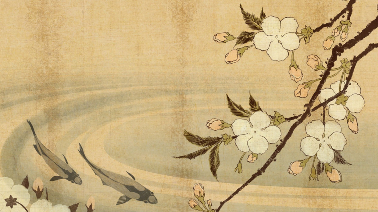 Bonsai Suiseki Magazine libri e risorse gratuite per chi si avvicina ai bonsai e dei suiseki