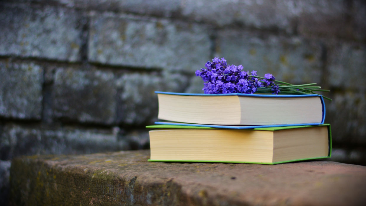 Bonsai Suiseki Magazine libri e risorse gratuite per chi si avvicina ai bonsai e dei suiseki