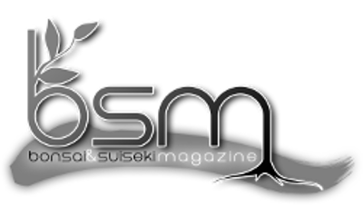 Bonsai Suiseki Magazine libri e risorse gratuite per chi si avvicina ai bonsai e dei suiseki